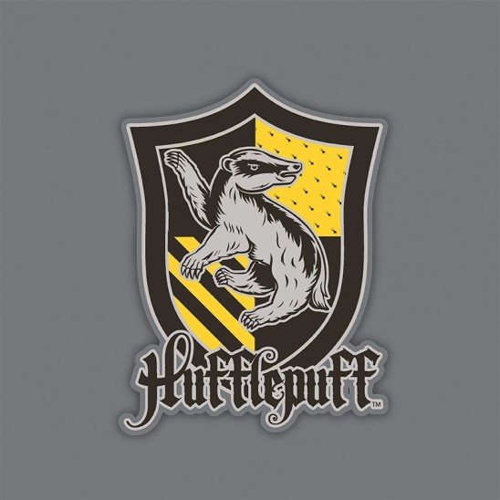 Καπέλο Hufflepuff