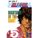 Manga Bleach Τόμος 05 (English)