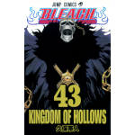 Manga Bleach Τόμος 43 (English)