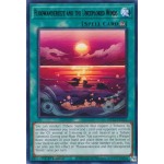 Floowandereeze and the Unexplored Winds (MP22-EN221) - 1st Edition