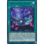 Forest of Lost Flowers (BLMR-EN097) - 1st Edition