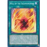 Will of the Salamangreat (LD10-EN049) - 1st Edition