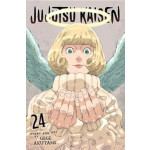 Jujutsu Kaisen Vol. 24 Manga (English)