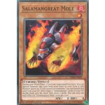 Salamangreat Mole (SDSB-EN002) - 1st Edition