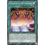 Execution of the Contract (MP21-EN036) - 1st Edition