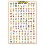 Αφίσα Kanto Pokemon (91x61)