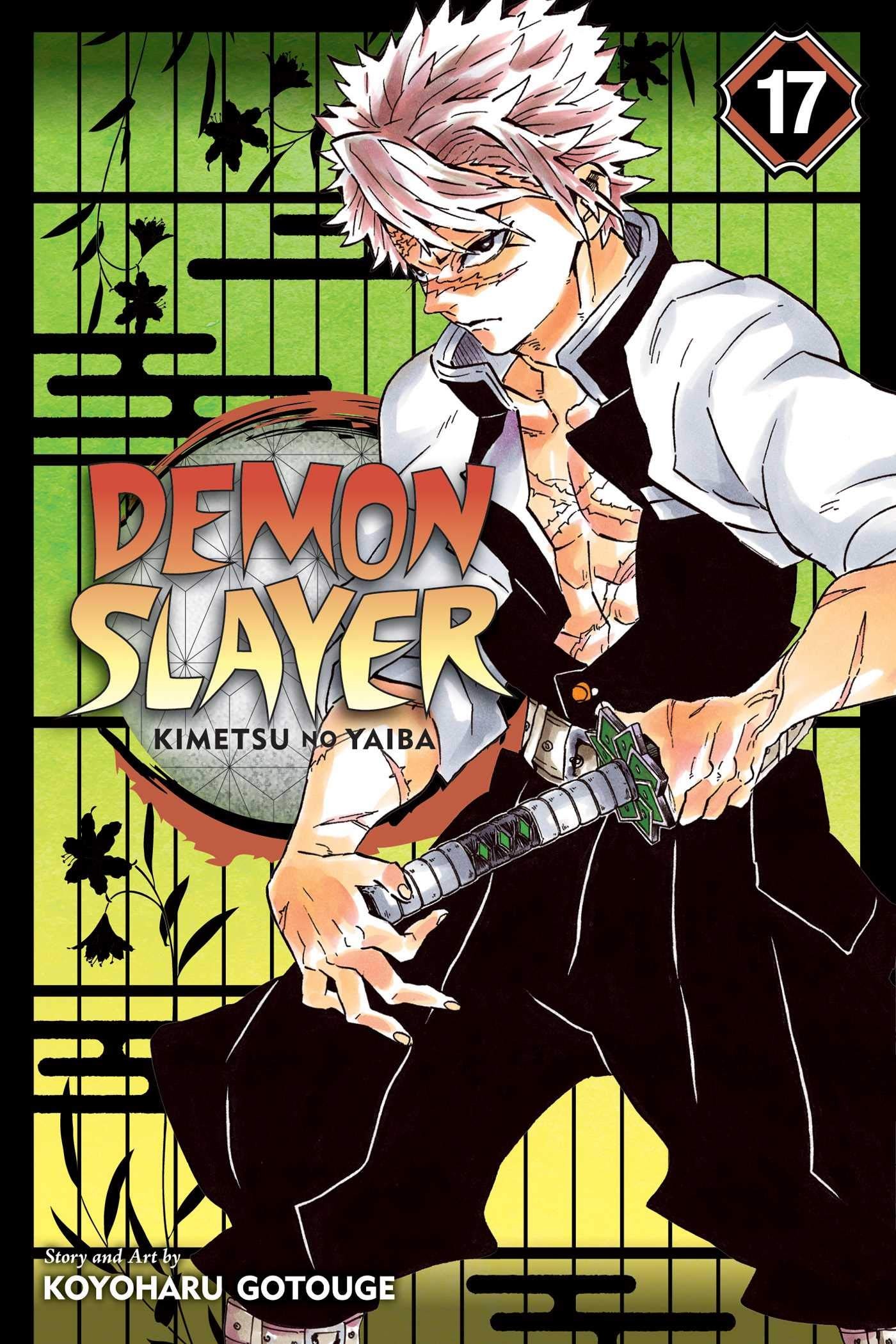 Manga Demon Slayer Τόμος 17 English