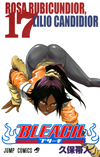 Manga Bleach Τόμος 17 (English)