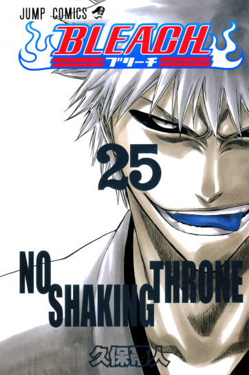 Manga Bleach Τόμος 25 (English)