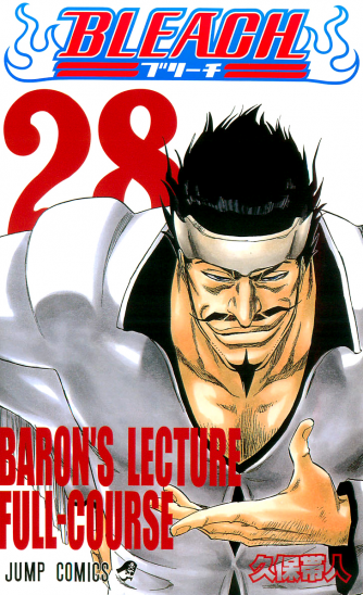 Manga Bleach Τόμος 28 (English)