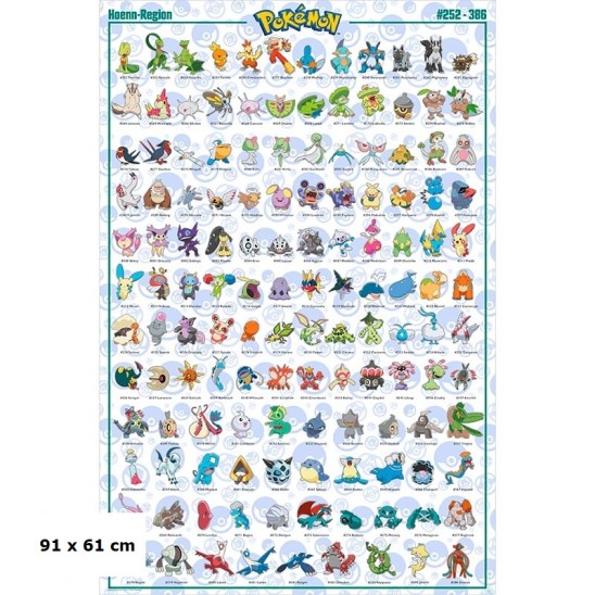 Αφίσα Hoenn Pokemon (91x61)