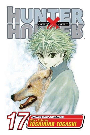 Manga Hunter X Hunter Τόμος 17 (English)