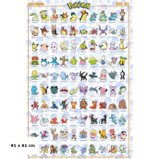 Αφίσα Johto Pokemon (91x61)