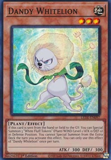 Dandy Whitelion (LEDE-EN097) - 1st Edition