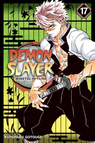 Manga Demon Slayer Τόμος 17 (English)