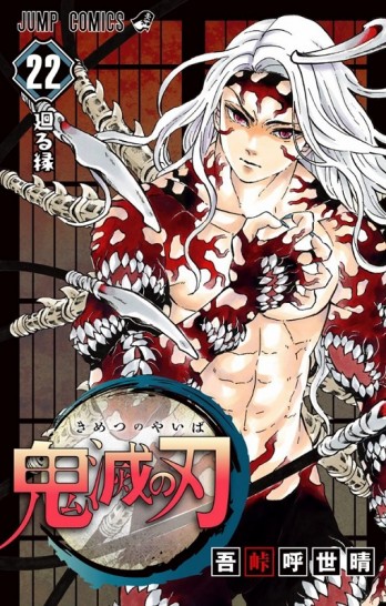 Manga Demon Slayer Τόμος 22 (English)