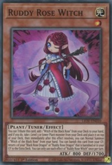 Ruddy Rose Witch (LIOV-EN010) - 1st Edition