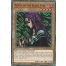 Witch of the Black Forest (SDCH-EN016) - 1st Edition