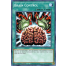 Brain Control (LED7-EN042) - 1st Edition