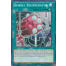 Borrel Regenerator (SDRR-EN027) - 1st Edition