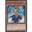 Dai-sojo of the Ice Barrier (SDFC-EN014) - 1st Edition