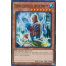 General Gantala of the Ice Barrier (SDFC-EN017) - 1st Edition