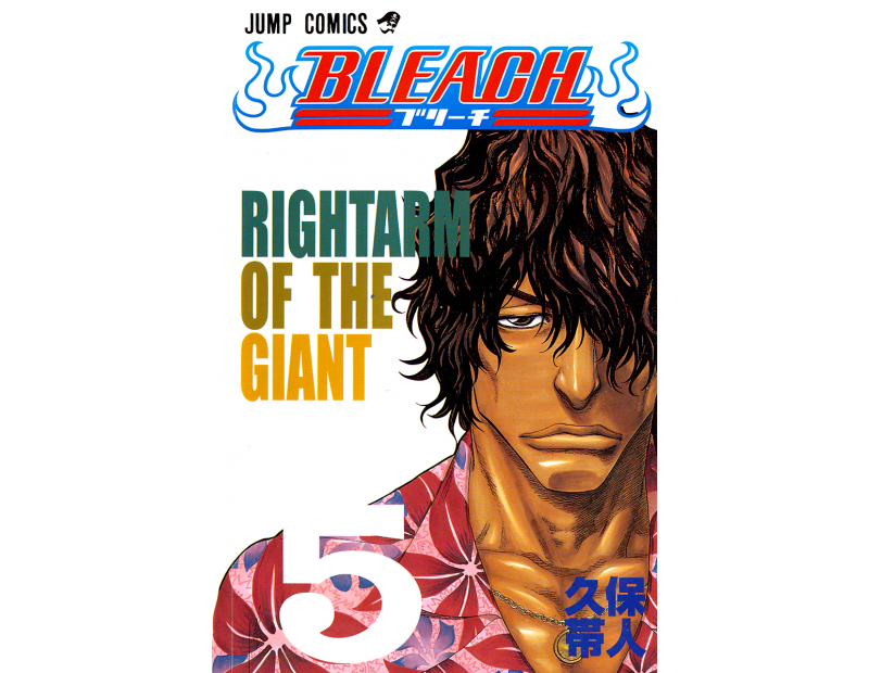 Manga Bleach Τόμος 05 (English)