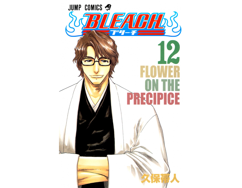 Manga Bleach Τόμος 12 (English)