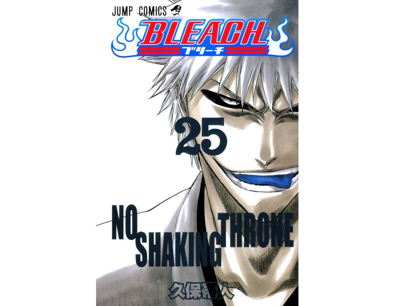 Manga Bleach Τόμος 25 (English)