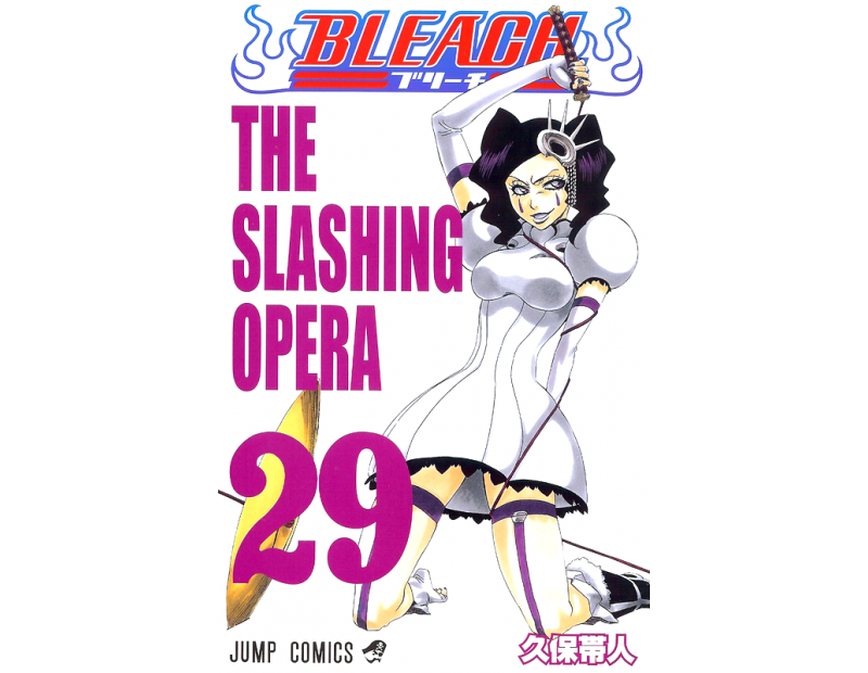 Manga Bleach Τόμος 29 (English)