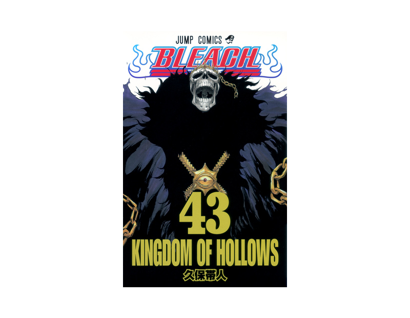 Manga Bleach Τόμος 43 (English)