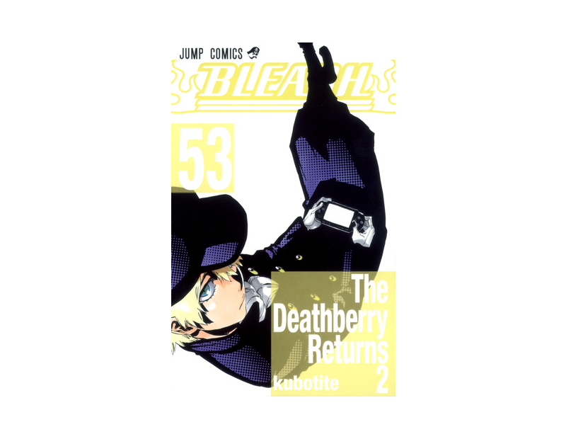 Manga Bleach Τόμος 53 (English)