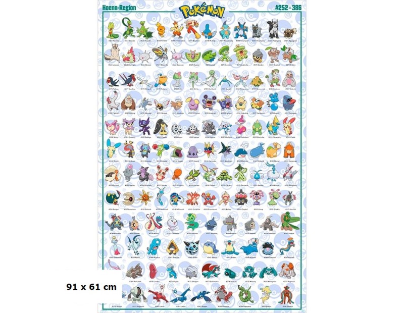 Αφίσα Hoenn Pokemon (91x61)