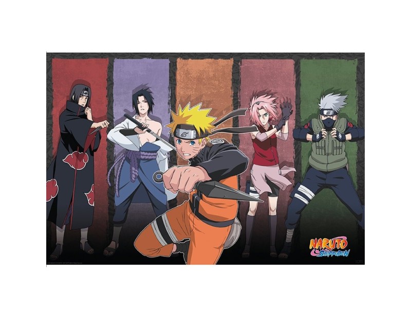 Αφίσα Naruto & Allies (91x61)