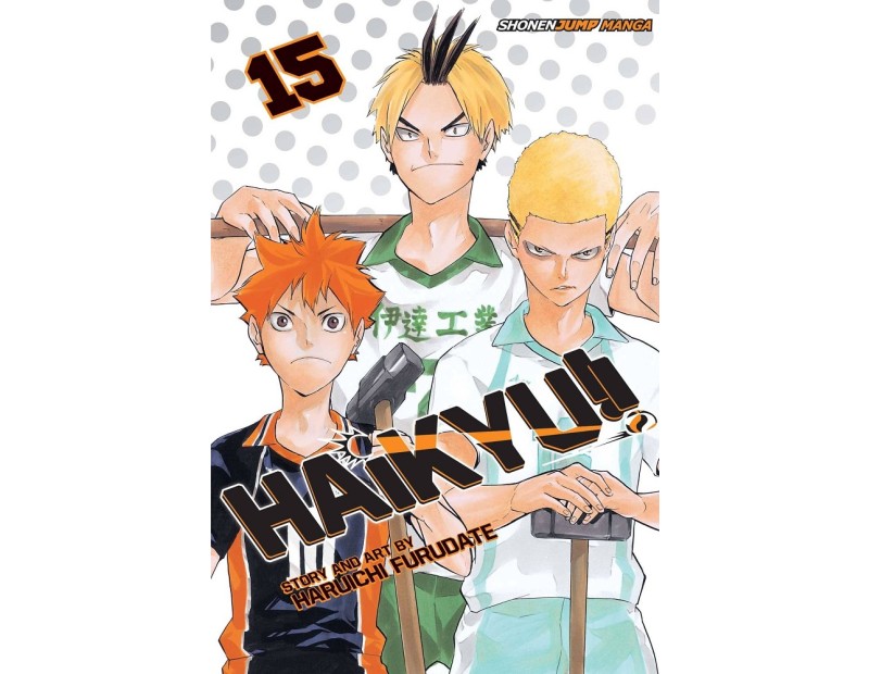 Manga Haikyu!! Τόμος 15 (English)