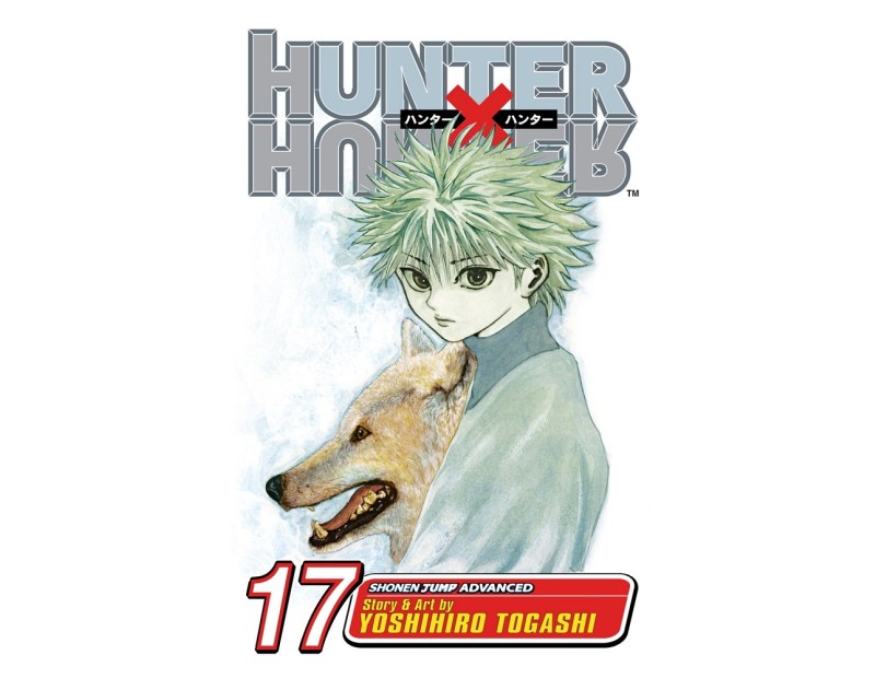 Manga Hunter X Hunter Τόμος 17 (English)