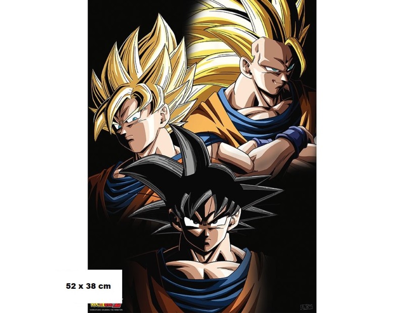 Αφίσα Goku Transformations (52x38)