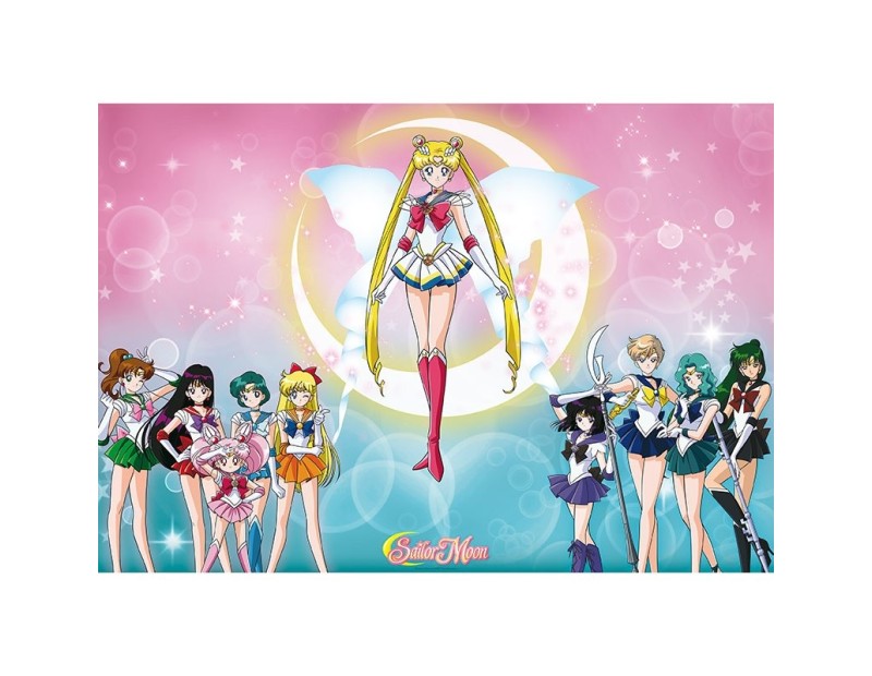 Αφίσα Sailor Warriors (91x61)