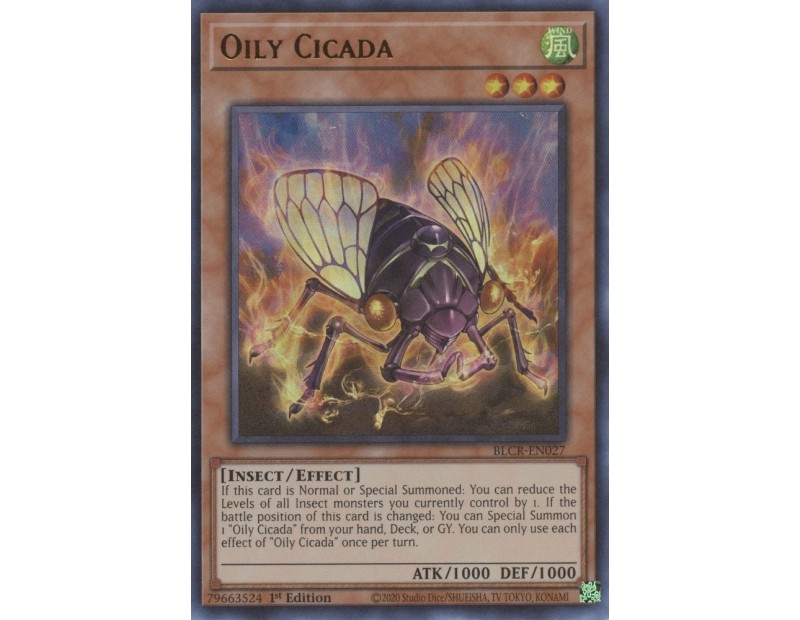 Oily Cicada (BLCR-EN027) - 1st Edition