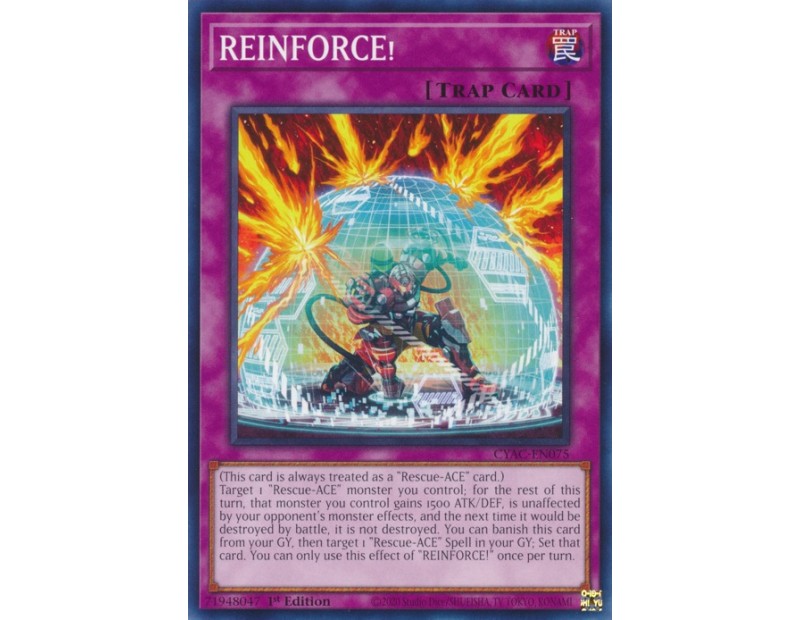 REINFORCE! (CYAC-EN075) - 1st Edition