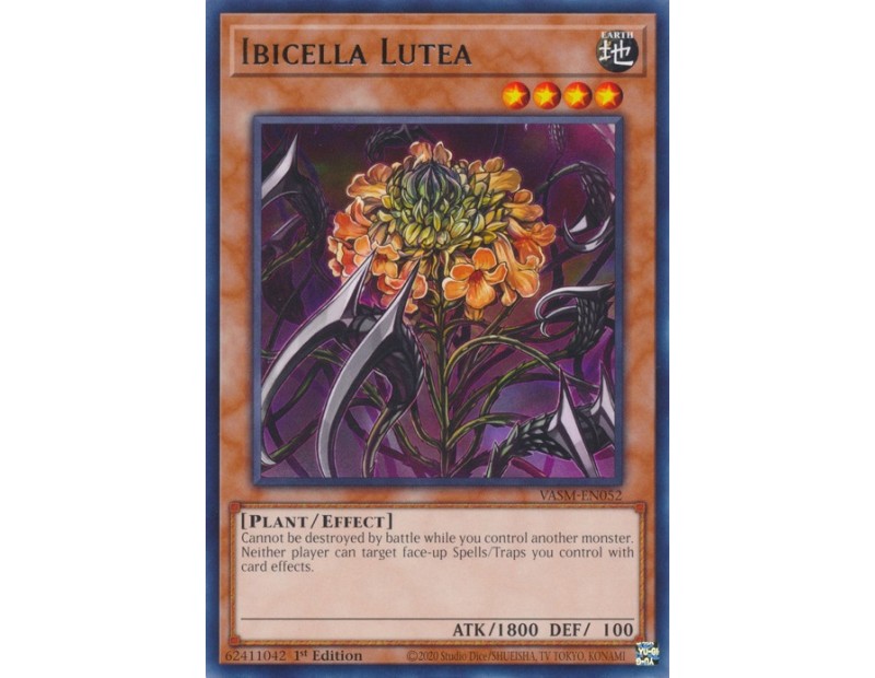 Ibicella Lutea (VASM-EN052) - 1st Edition