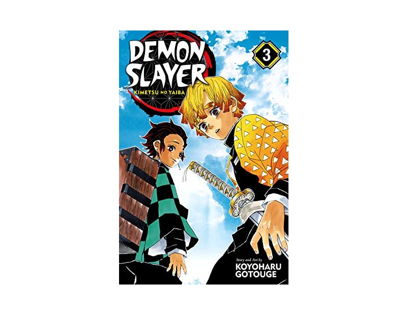 Manga Demon Slayer Τόμος 3 (English)