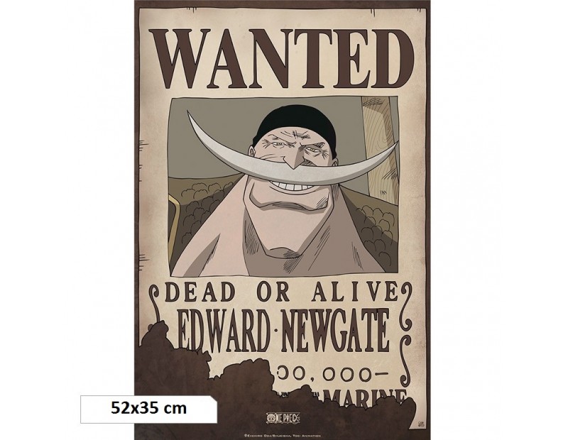 One Piece - Αφίσα Wanted Whitebeard (52x35)