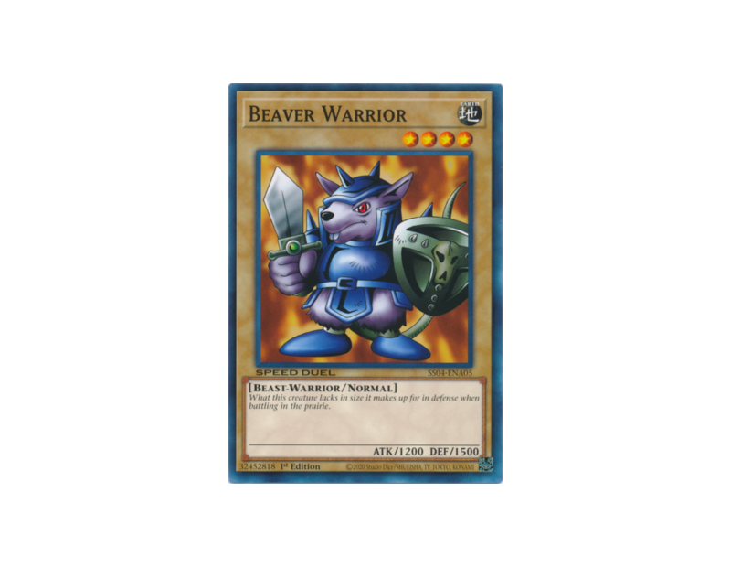 Beaver Warrior (SS04-ENA05) - 1st Edition