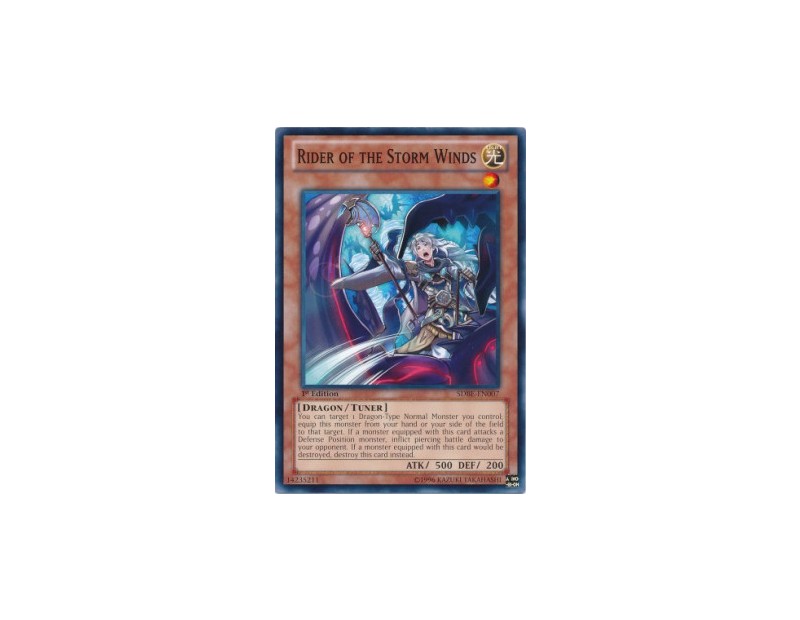 Rider of the Storm Winds (SDBE) - 1st Edition