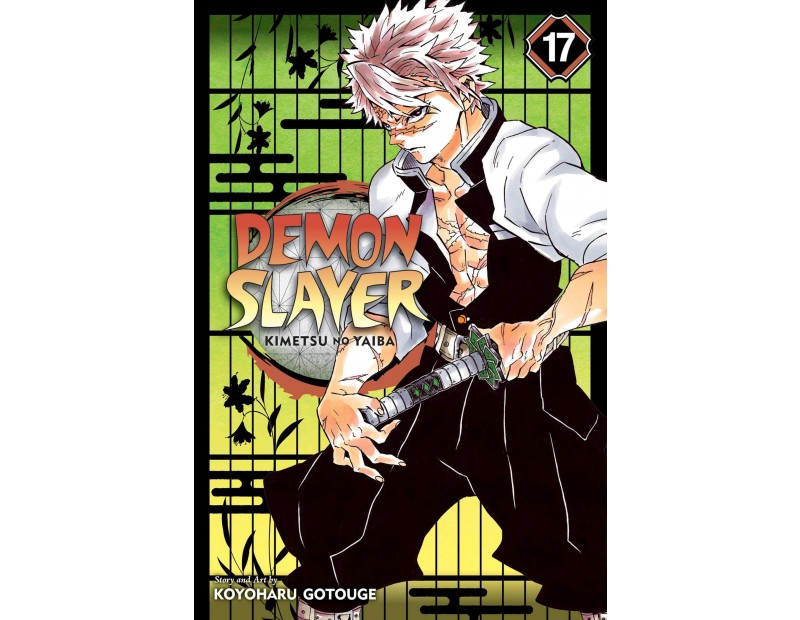 Manga Demon Slayer Τόμος 17 (English)