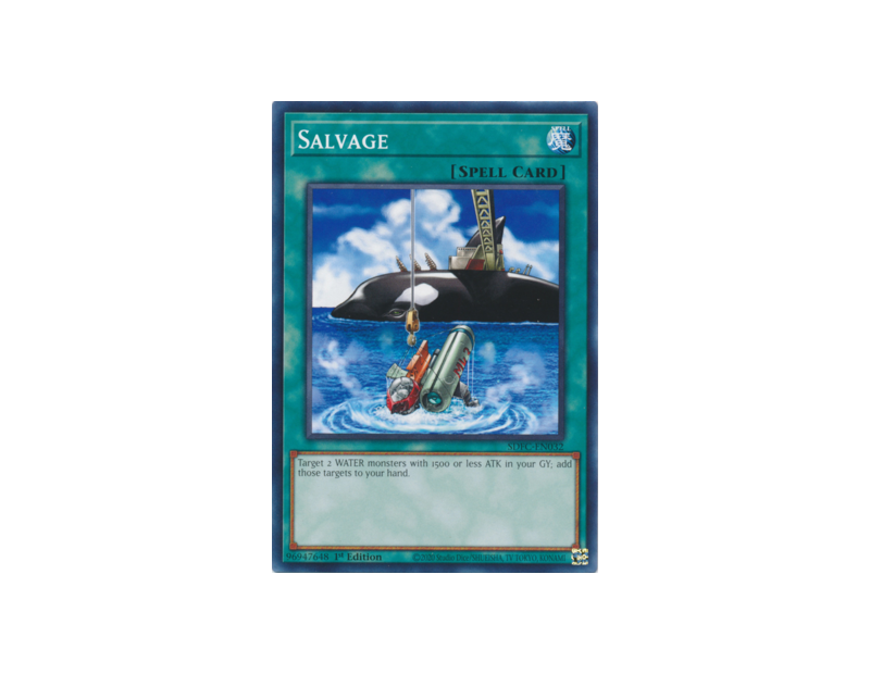 Salvage (SDFC-EN032) - 1st Edition