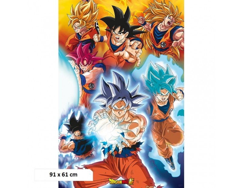 Αφίσα Goku's transformations (91x61)