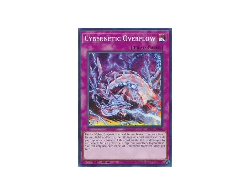 Cybernetic Overflow (SDCS-EN040) - 1st Edition