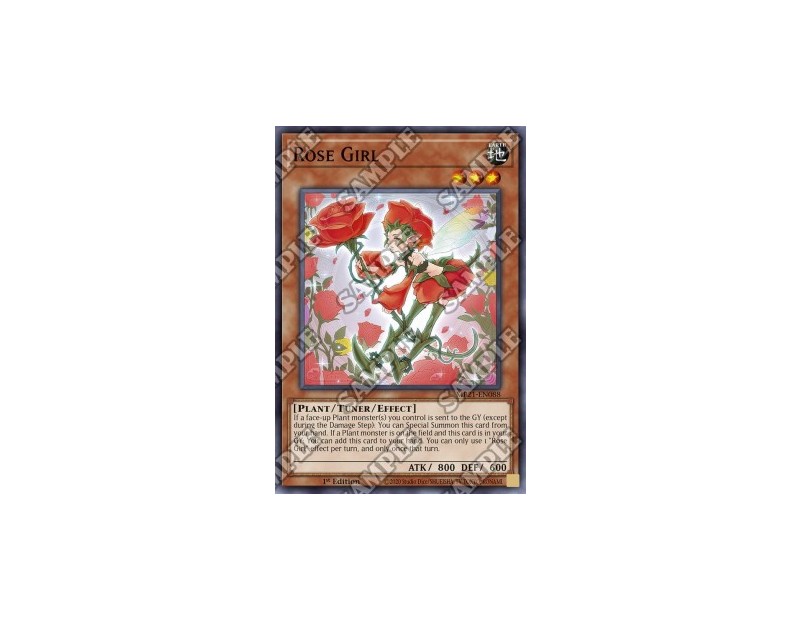 Rose Girl (MP21-EN088) - 1st Edition